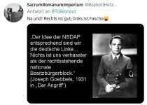 Sind-Nazis-links_Kommetar03.jpg