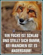 Fuchs.jpeg